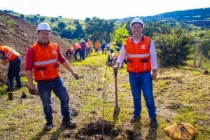 Gobierno de la Ciudad realiza acciones de producción de composta para reforestación en Puebla