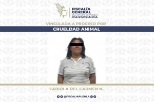 FGE da prisión preventiva a mujer que agredió a lomito con un machete