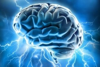 Curiosidades que debes conocer antes de que termine el año