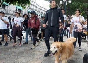 &quot;Denuncia, adopta y no compres&quot;; Armenta llama a proteger la vida animal