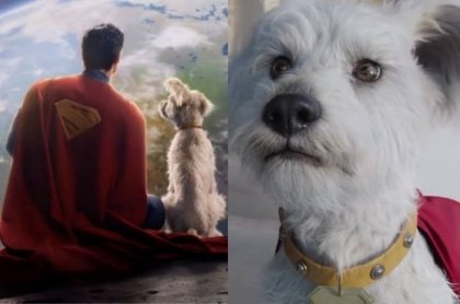 Efecto Krypto! Incrementa la adopción de perros tras estreno de Superman