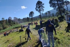 Granjas Carroll impulsa la conservación y reforestación en el Valle de Perote