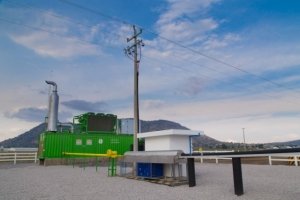Granjas Carroll innova en la generación de energía a partir de biogás y gas natural