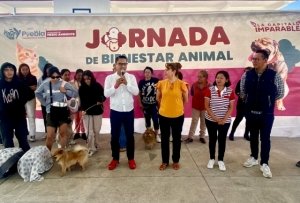 Realiza la Secretaría de Medio Ambiente, Jornada de Atención Animal en San Bernabé Temoxtitla y Los Héroes